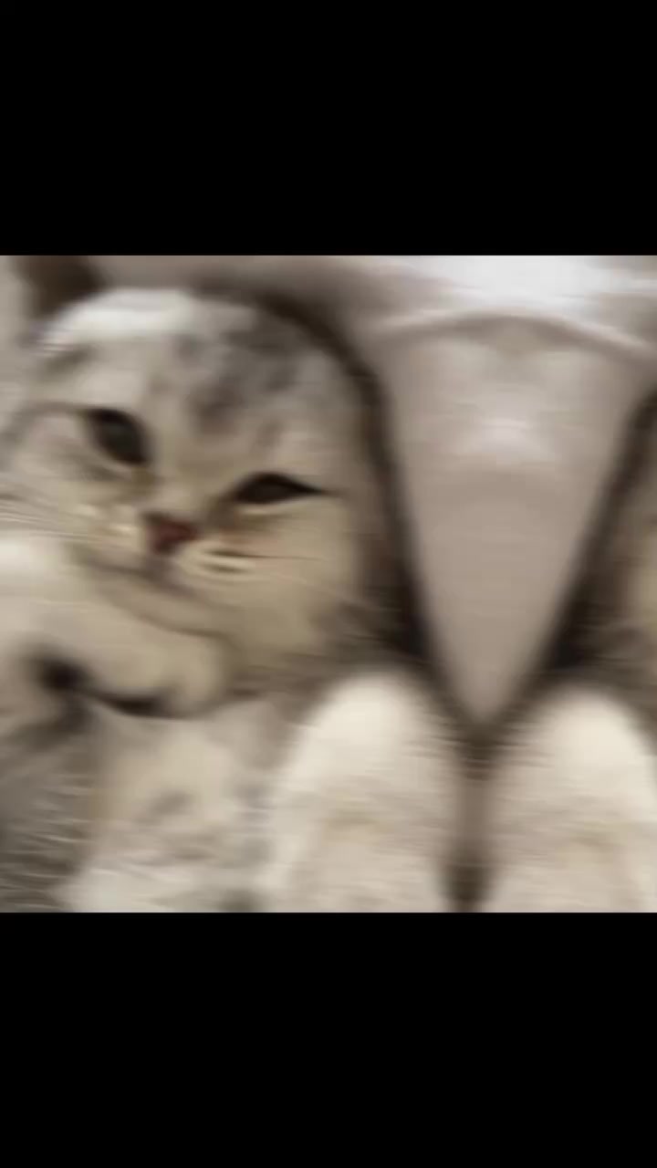 @ᯓ𝐄𝐫𝐚 𝐌𝐢𝐮ᥫ᭡