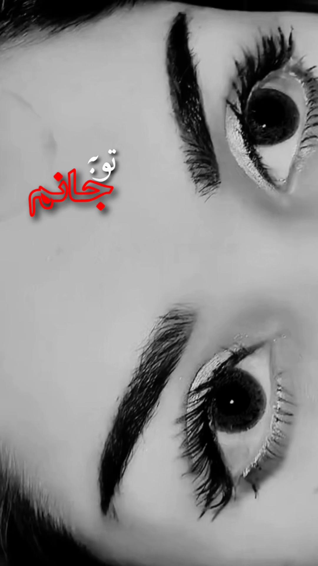 @harirhayat4