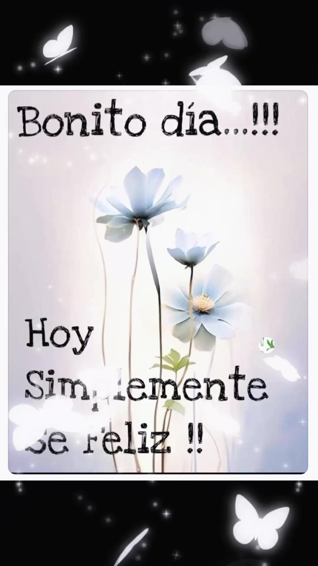 @karib