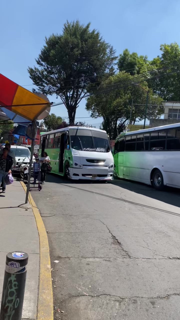 @BUSES ELEGANTES.🔥