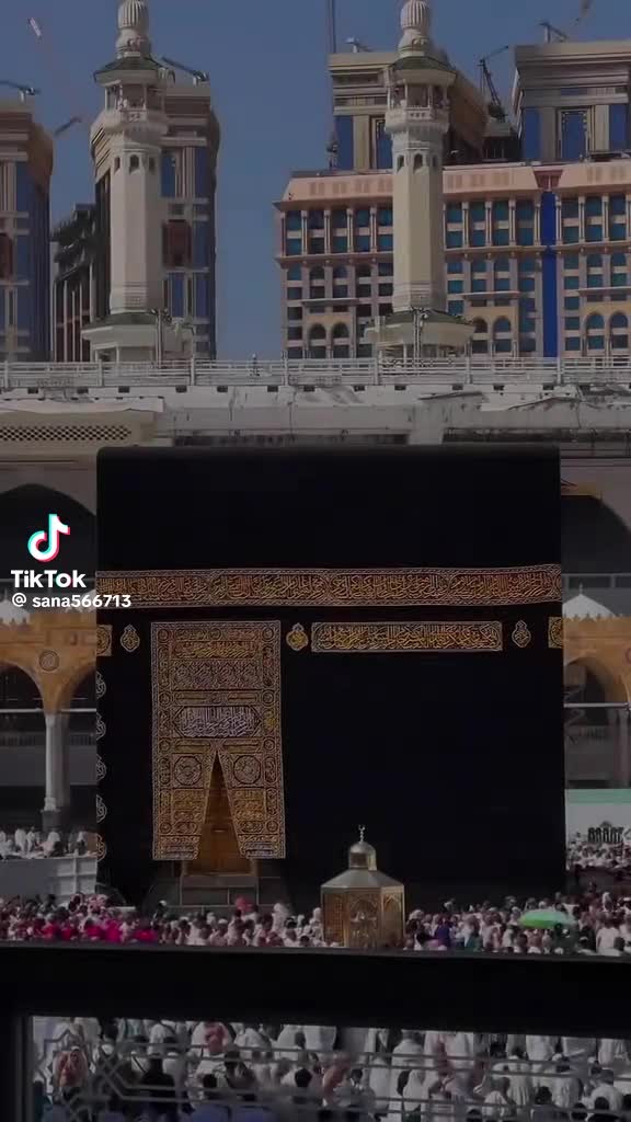@M Shahid69533