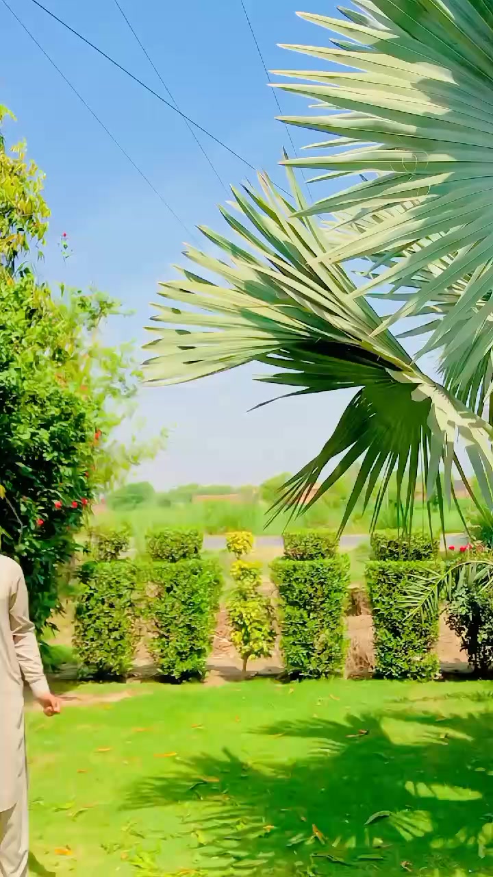 @🦁 رائے سلمان پروکہ RSG 🦁💯🚩