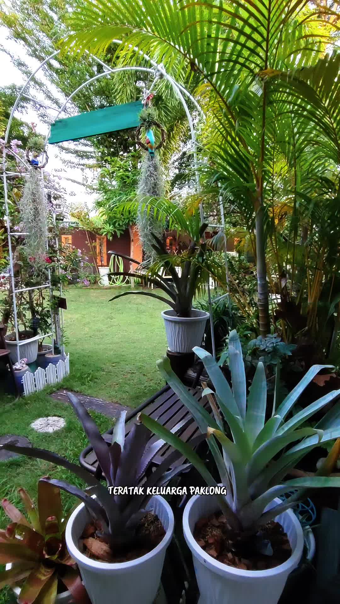 @Teratak Keluarga Paklong