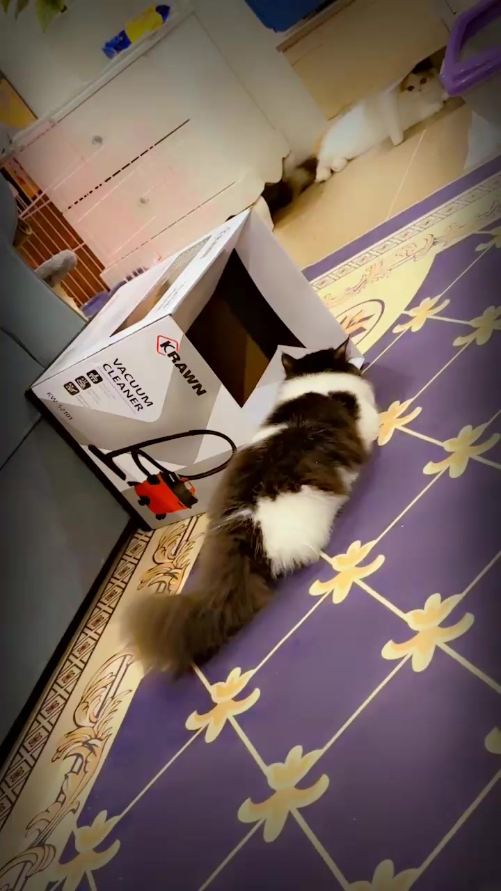 @الهام بنت عيسى🇸🇦