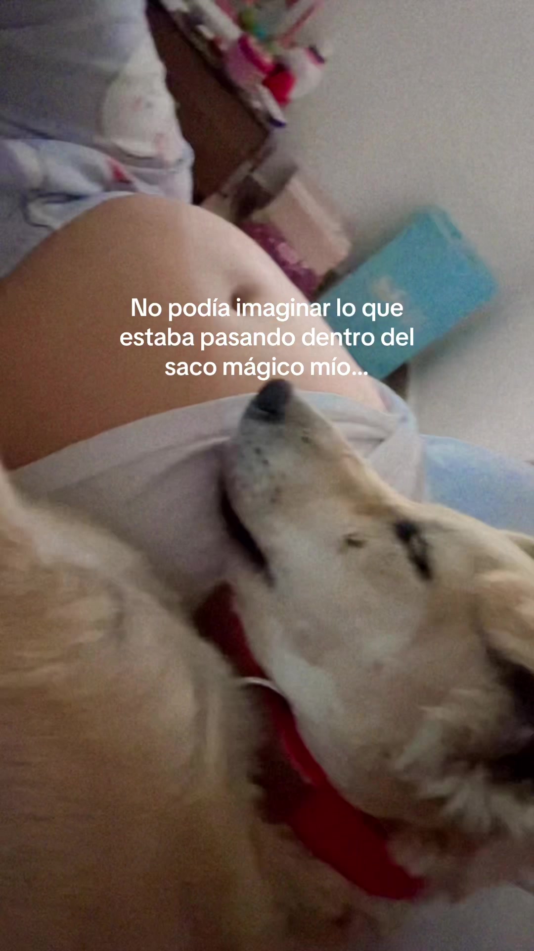 @alexa.13garcia