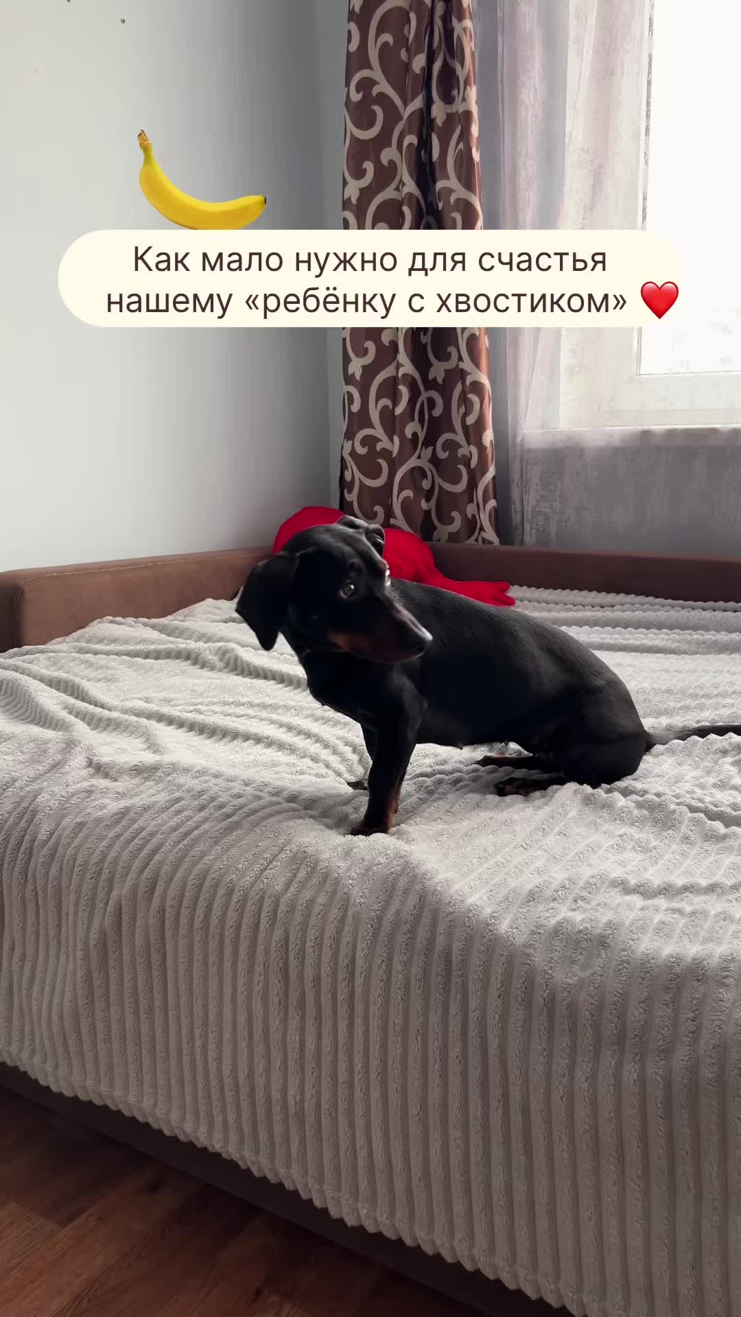 @galina.gipich