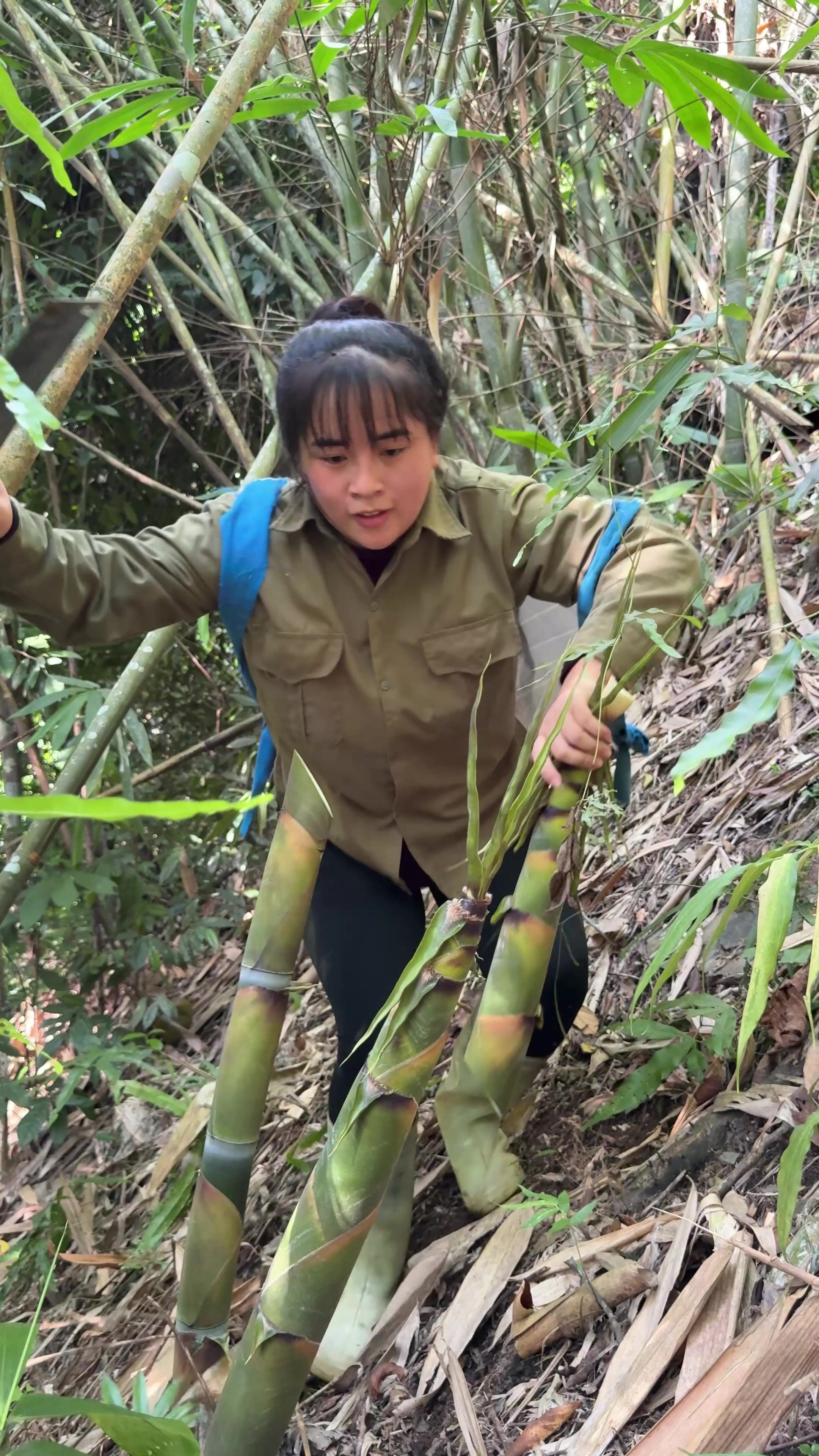 @Sức T&agrave;y