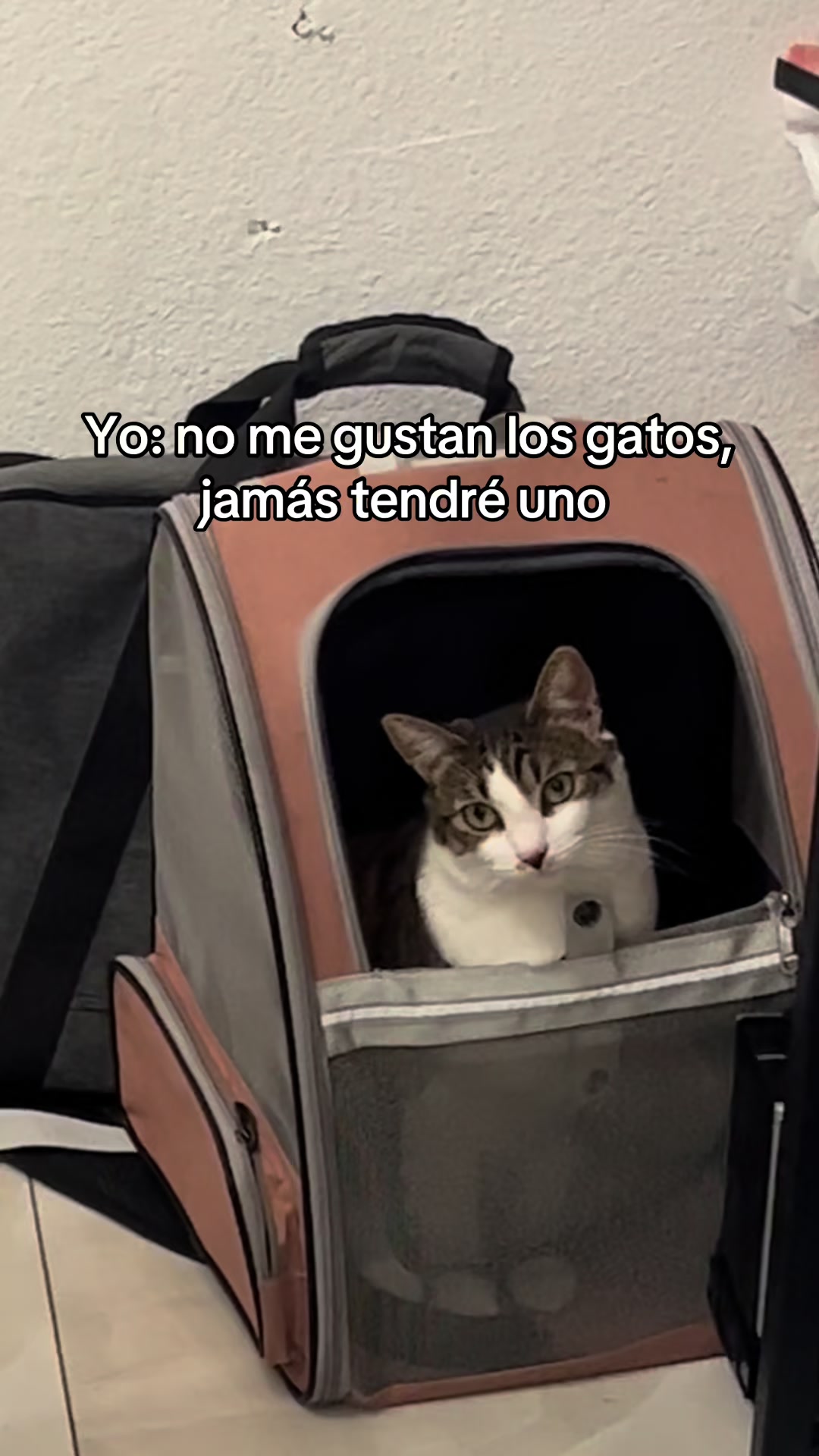 @Raquel Olvera
