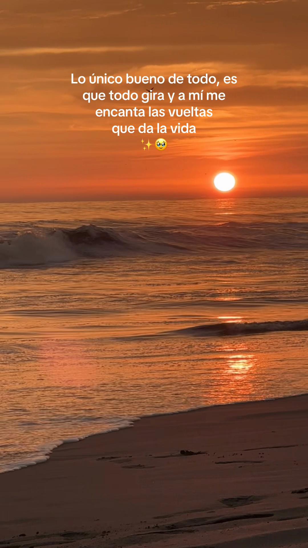 @Shirley Febres ᥫ᭡