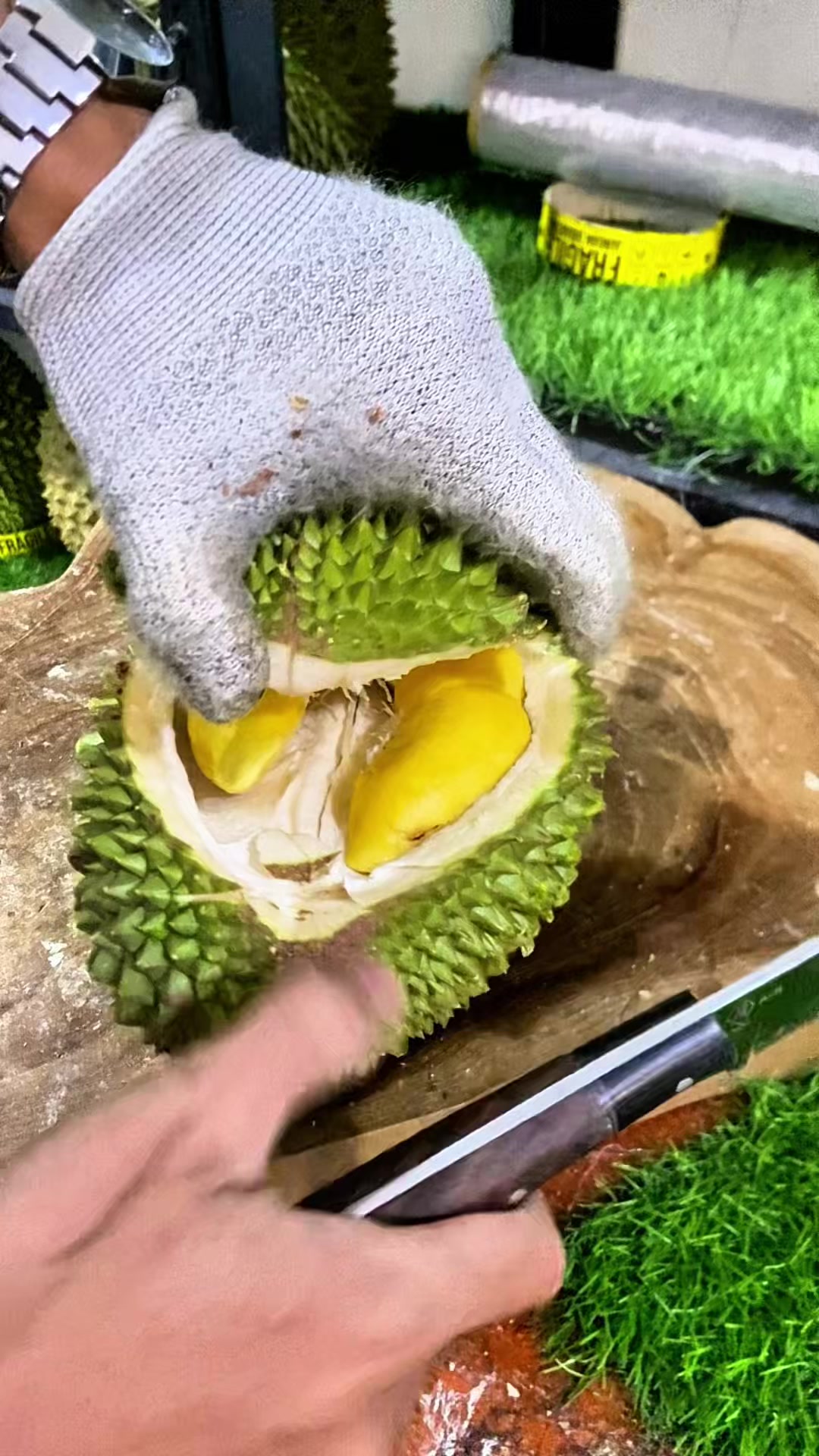 @Cicip Durian
