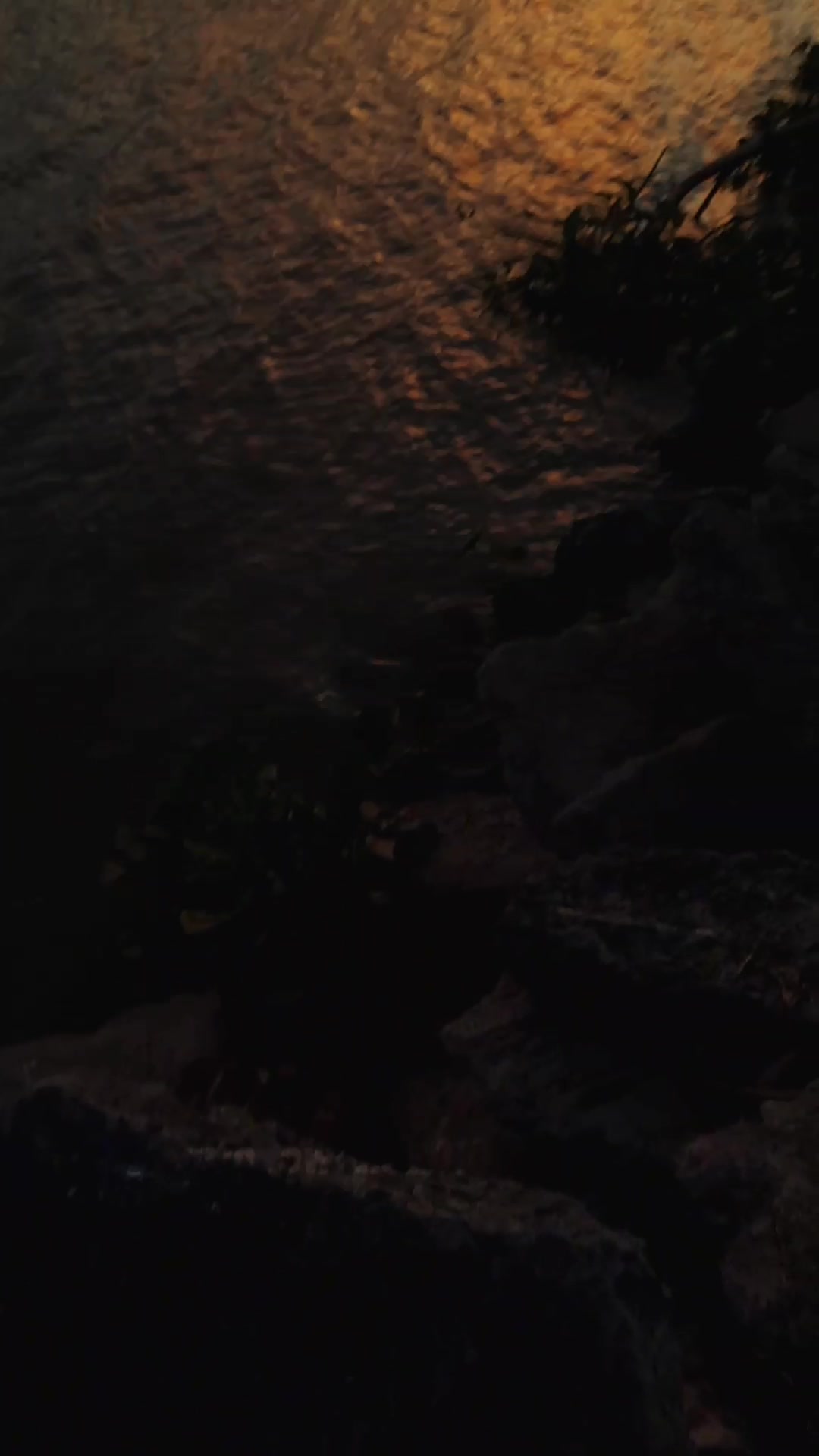 @𝑪𝑨𝑹.𝑳𝑶