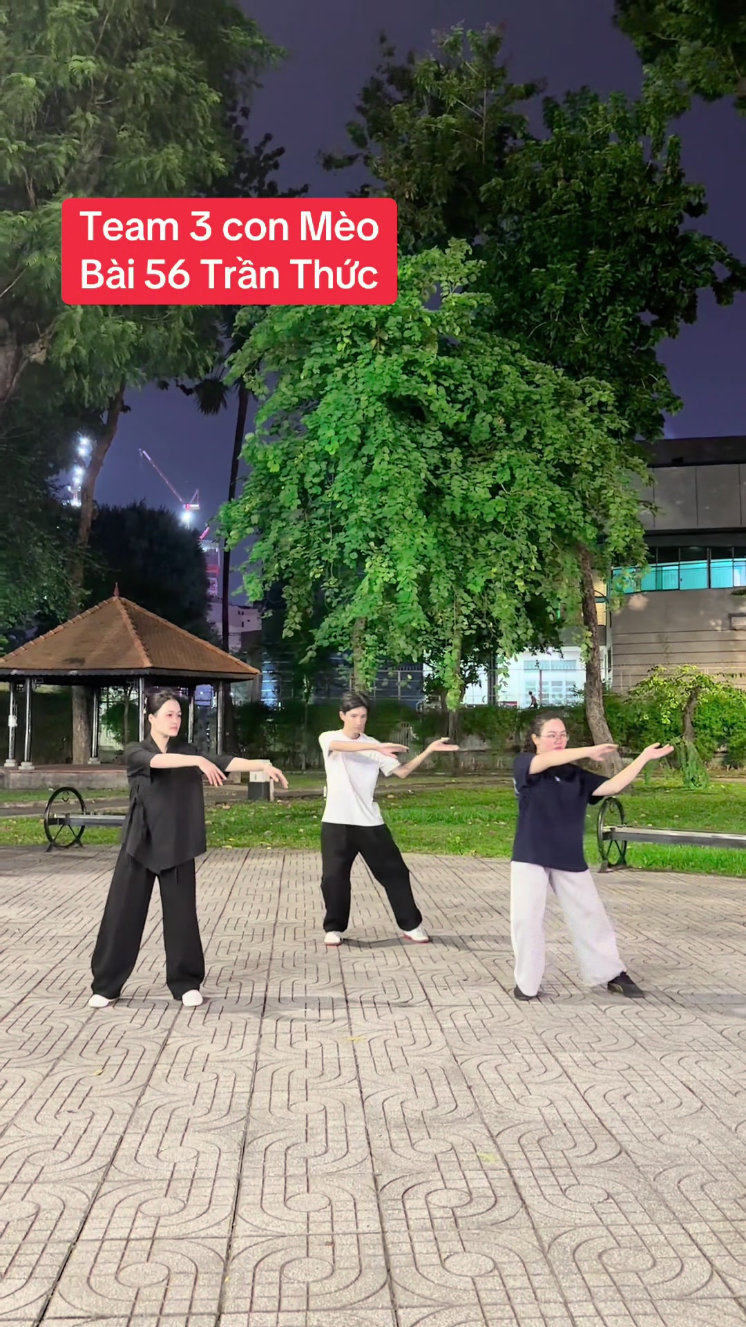@Nie tập Thái Cực Quyền