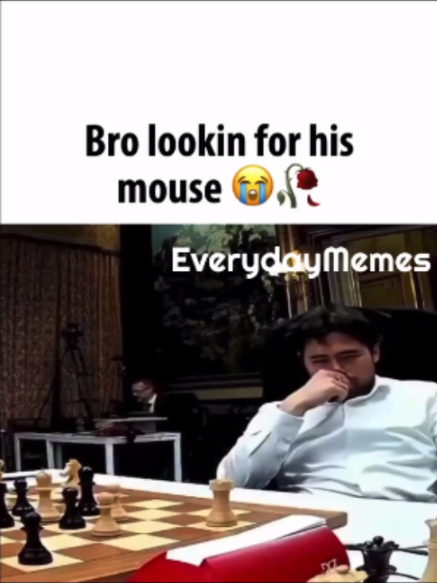 @EverydayMemes