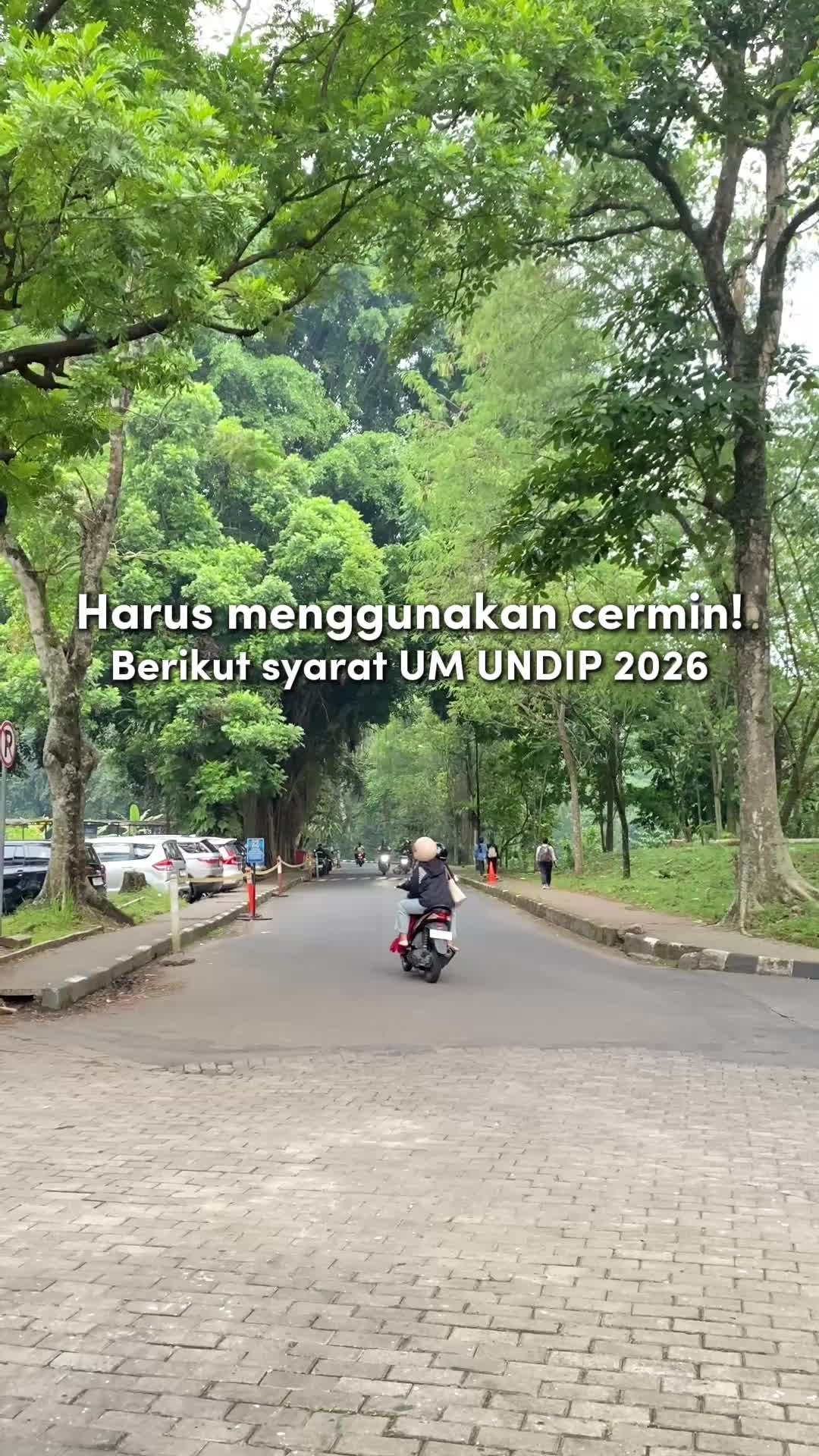 @Brain Academy | SNBT & Mandiri