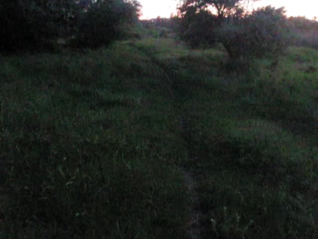 @lost in nostalgia