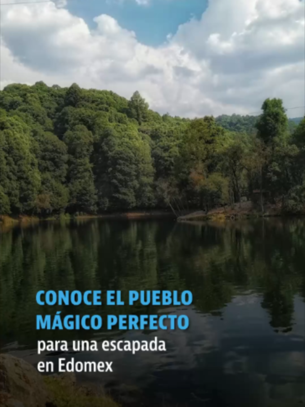 @elheraldodemexico