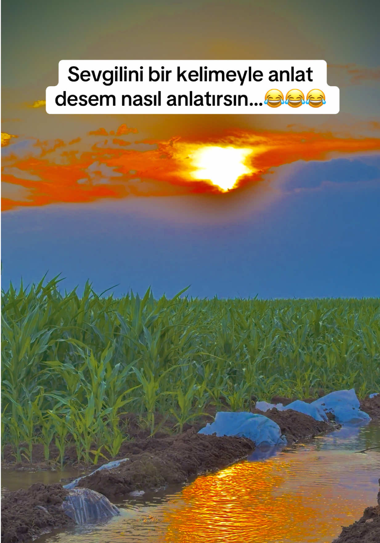 @🇹🇷͜͜͡͡✯USLANMAZ🇹🇷͜͜͡͡✯
