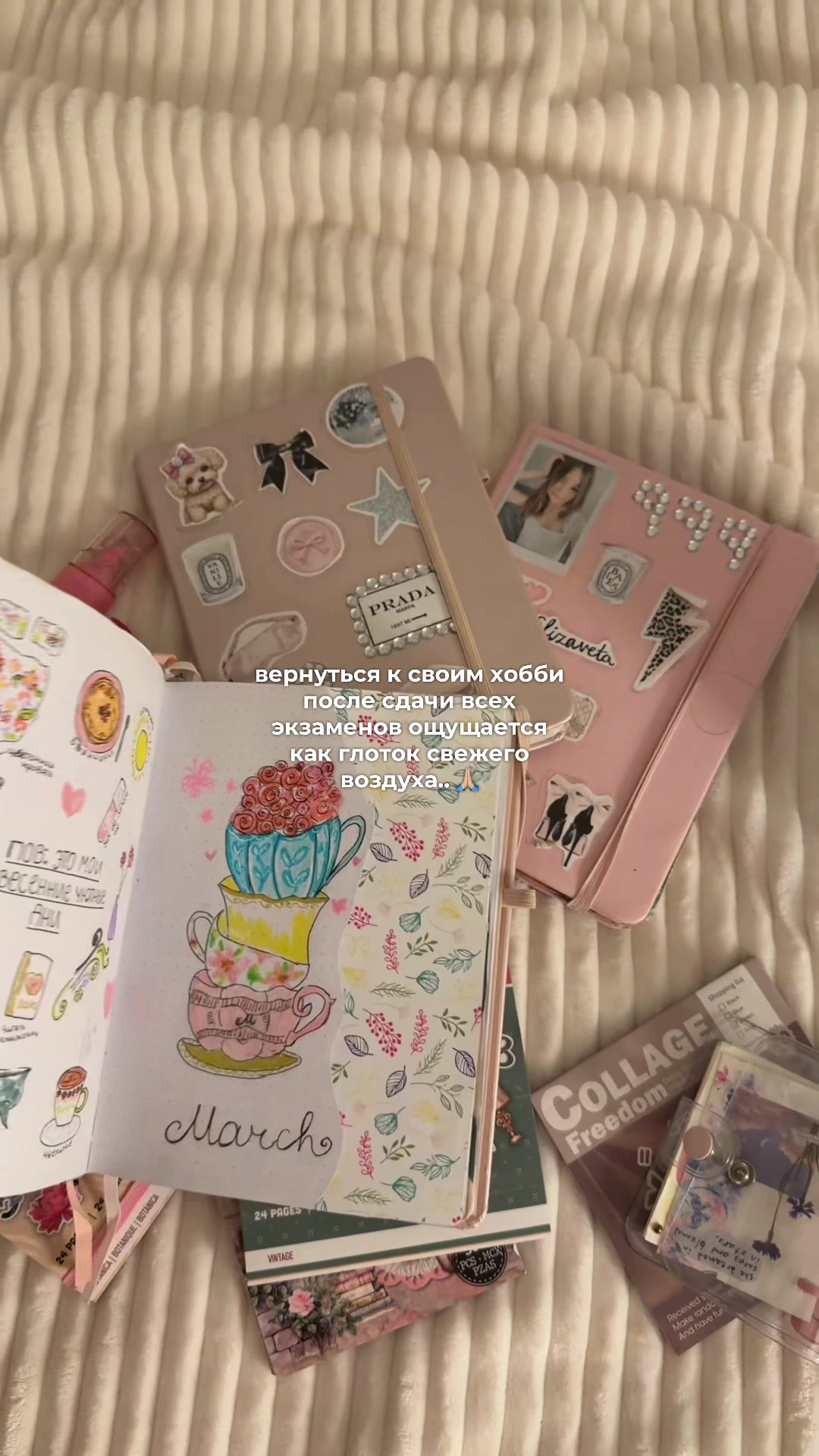 @𝒆𝒍𝒊𝒛𝒂𝒗𝒆𝒕𝒔 ୨ৎ