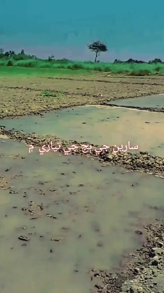 @Akram Ali