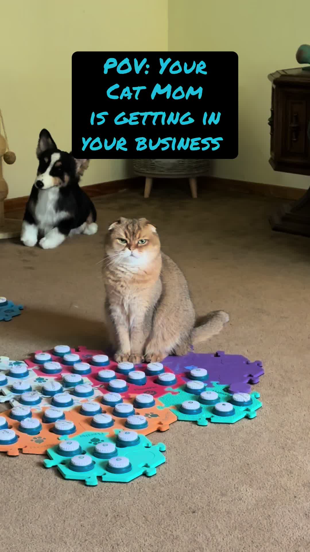 @Puffindoestricks