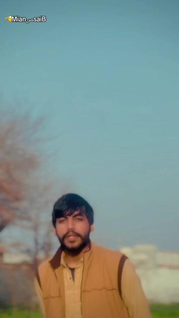 @mustafajamal905