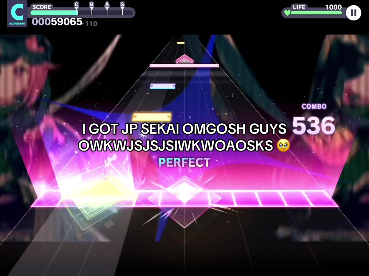 @✧ ℝ𝕚𝕥𝕫𝕪 𝕥𝕙𝕖 𝕋𝕠𝕗𝕦 ✧