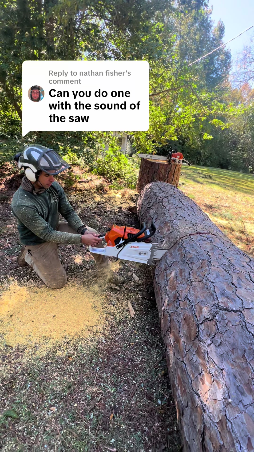 @The Tree Assassins