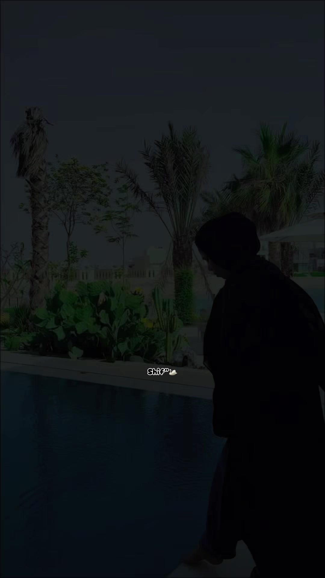 @𝐒𝐡ⁱ𝐅𝐚༺🦢