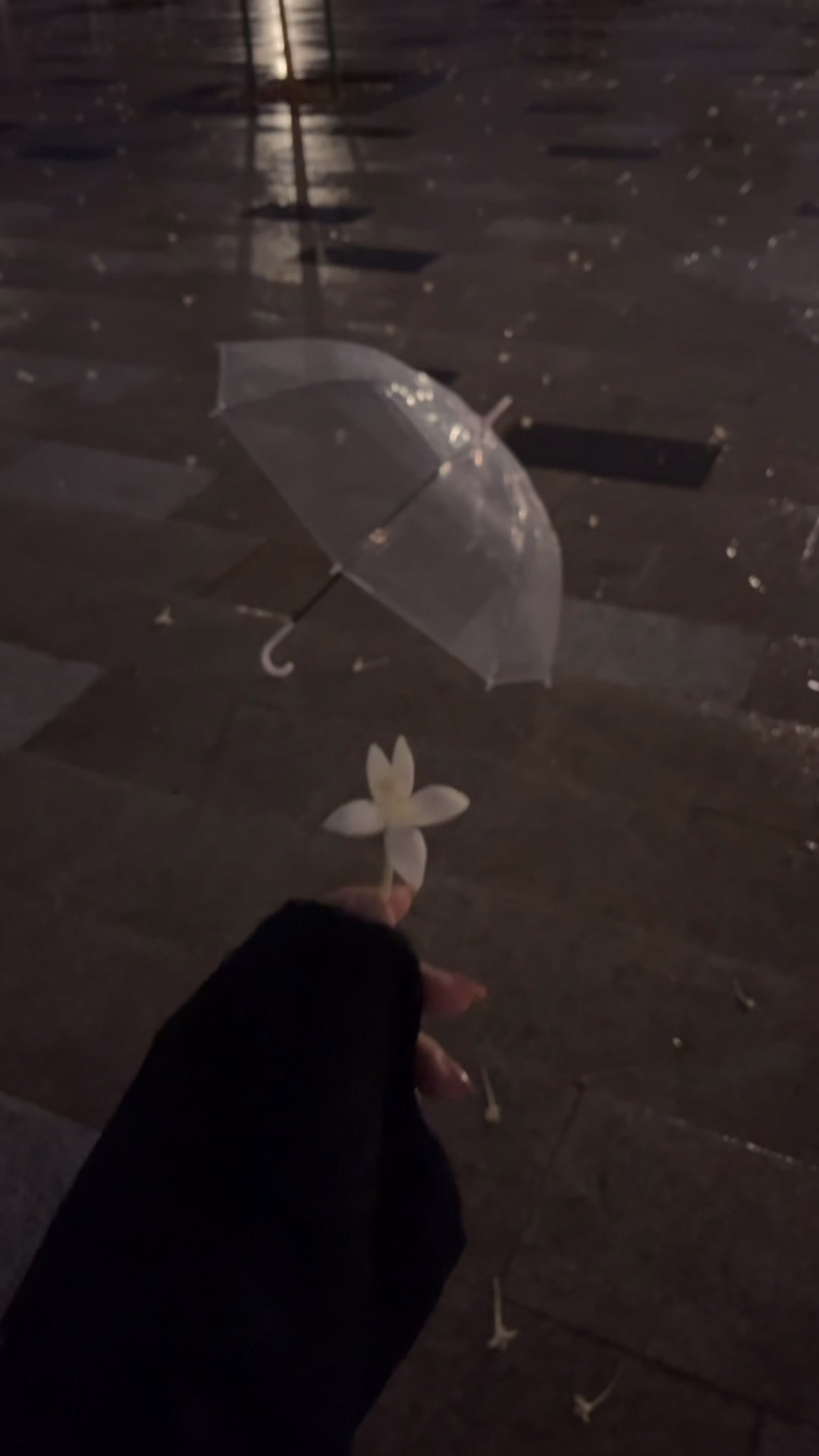 @Lana/بلوقر المدينه 🌊🌴
