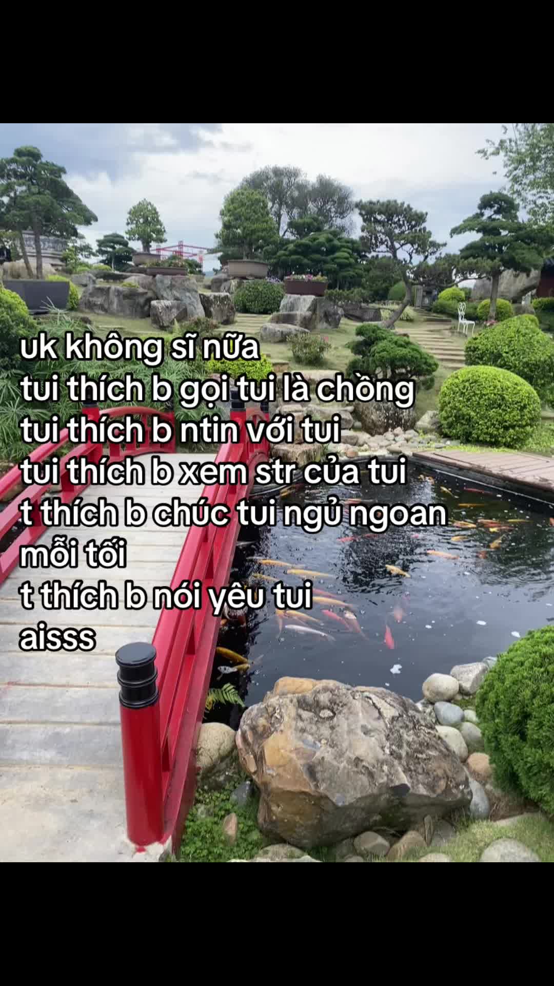 @mis bn