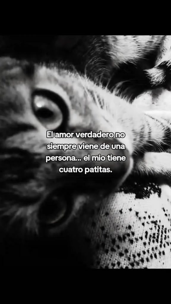 @{•~Mons~•}
