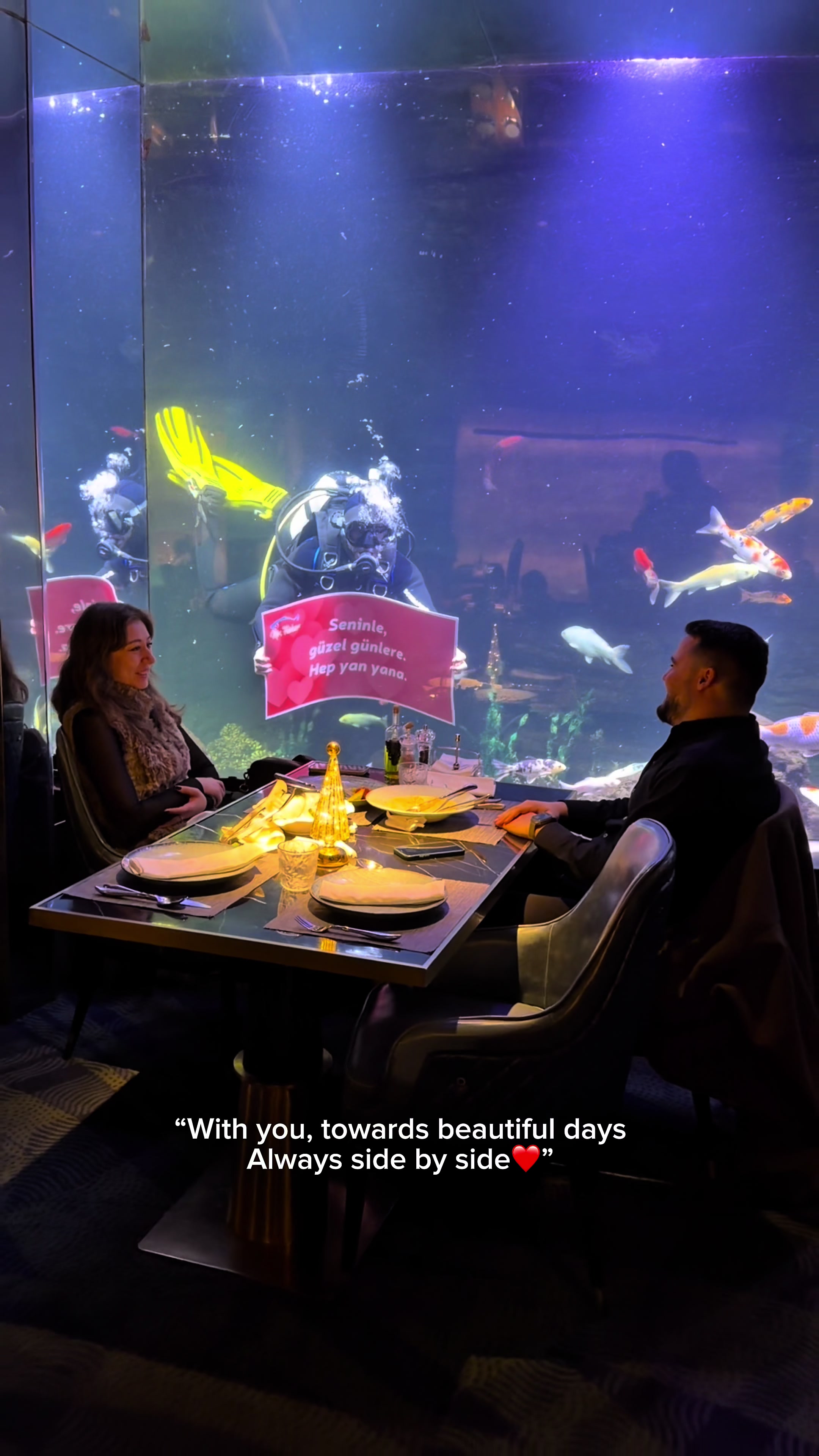 @Mr Fisher Restaurant
