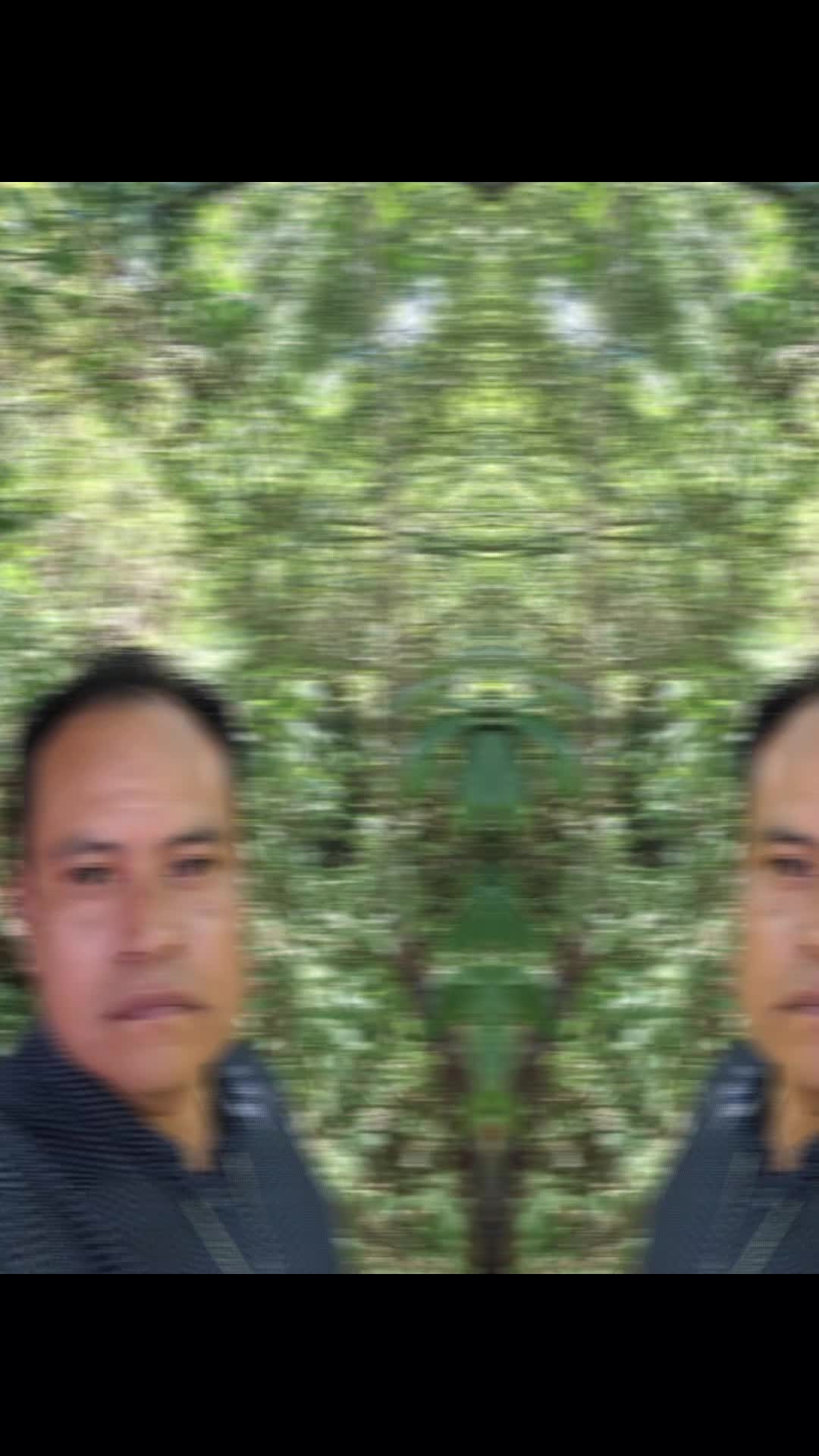 @cesar torres hernandez
