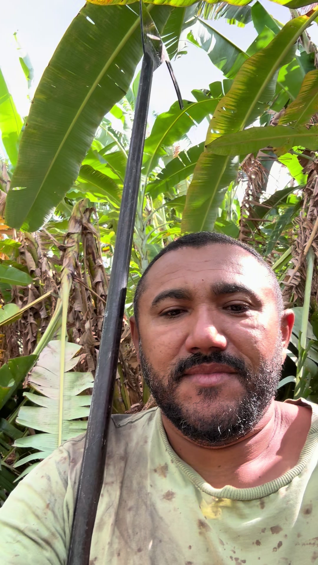 @Cícero Maicon Lopes