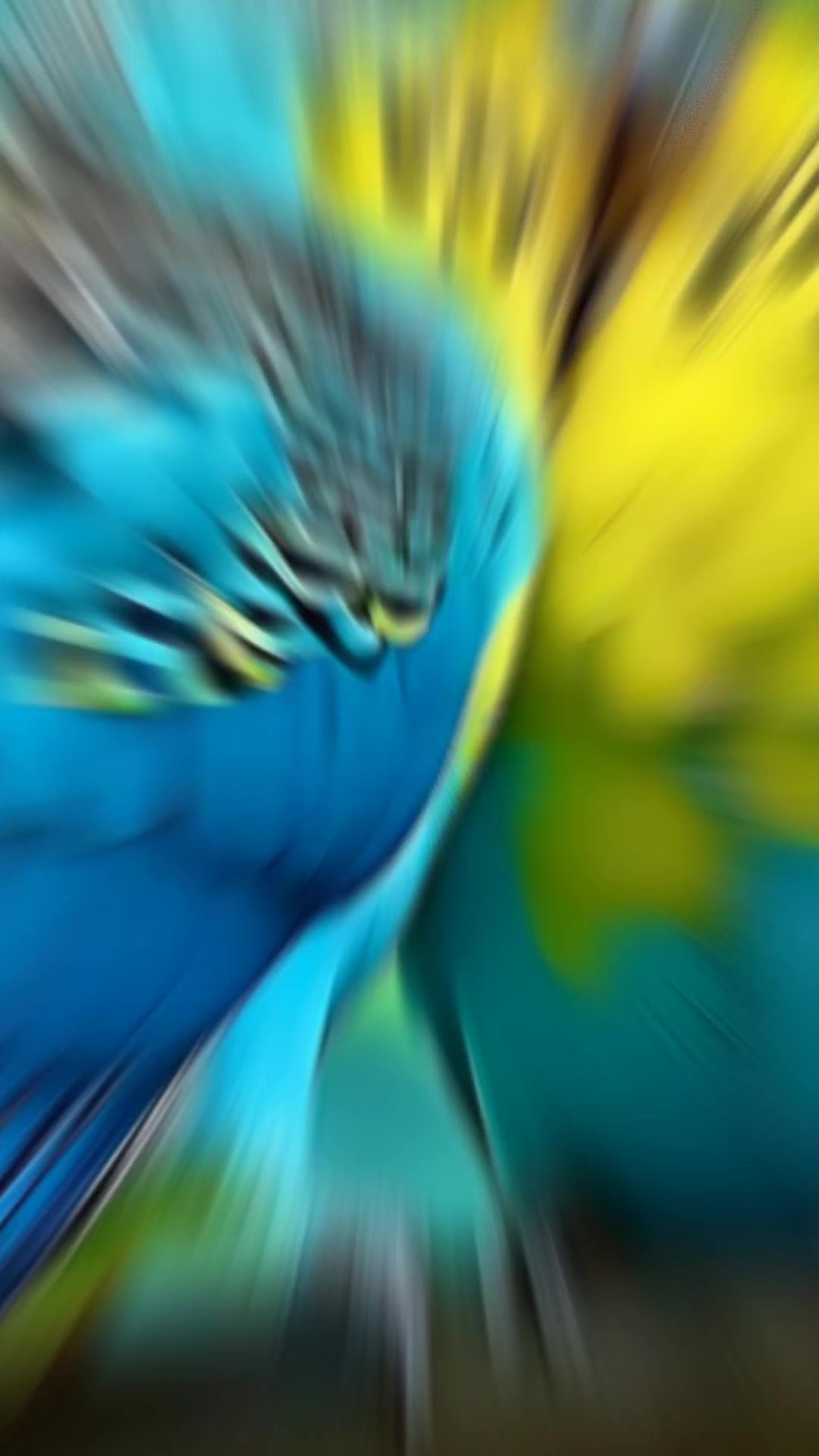 @ð§ðïžð
ïžð
ïžð
ïžð
ïžð
ïžðïžð§