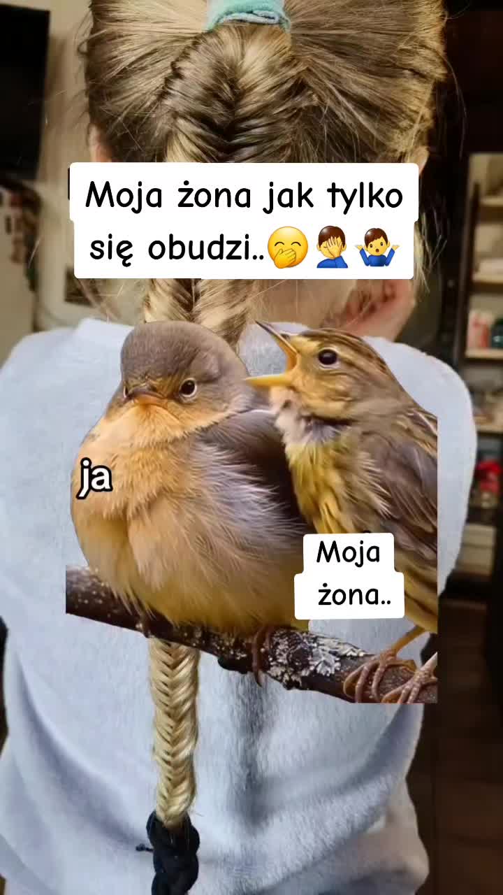 @Krzysztof Wójtowicz