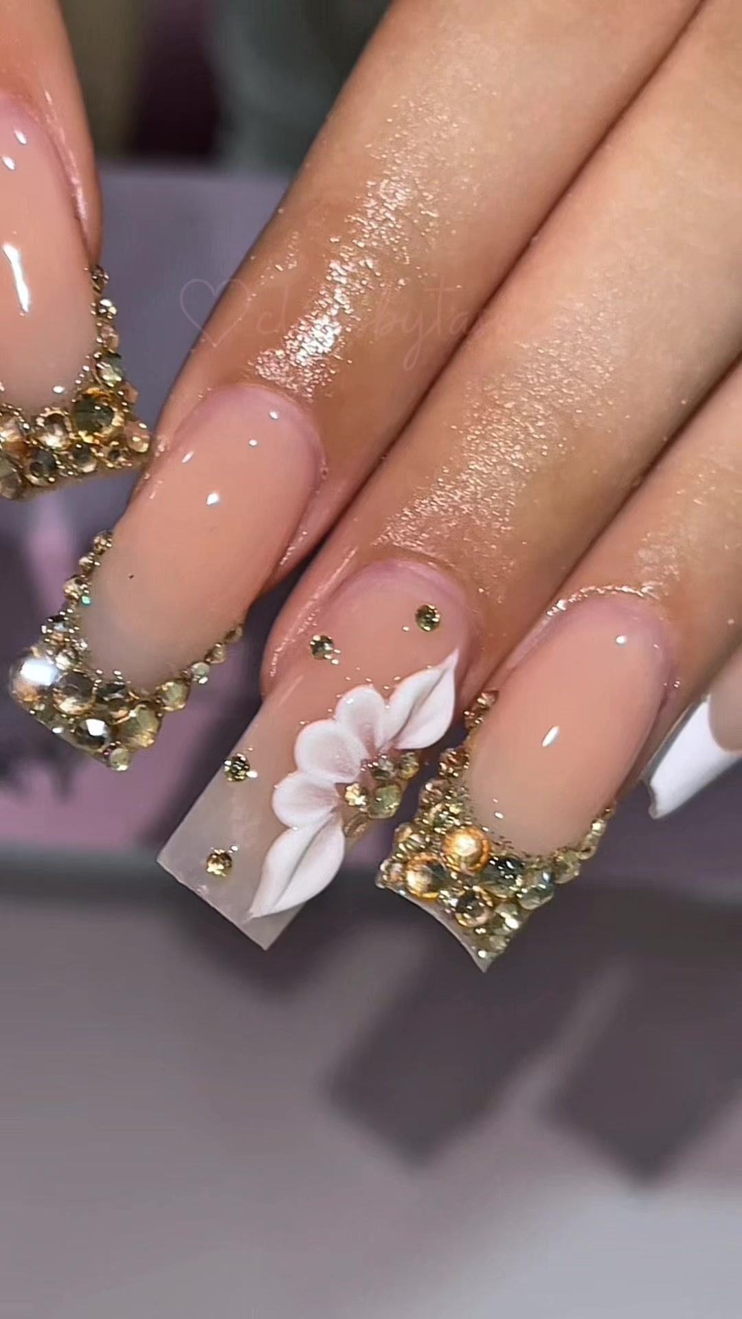 @clawsbytasmia ✨