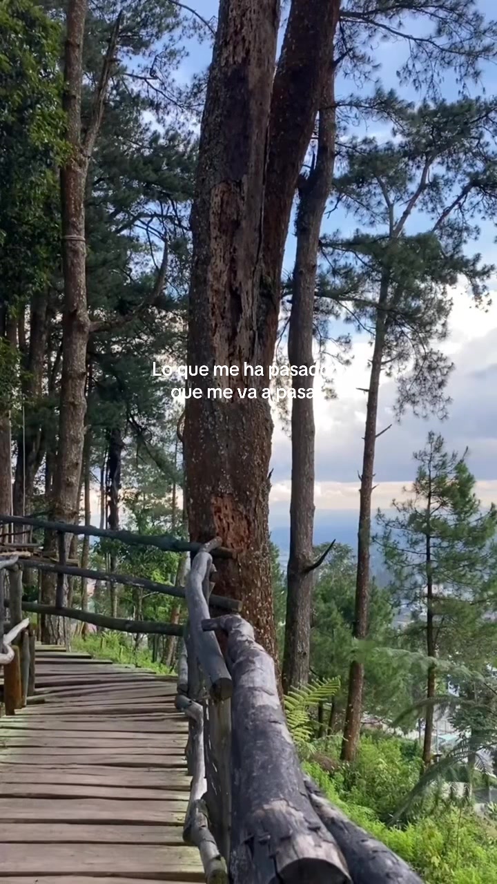@🍂Mar🦕