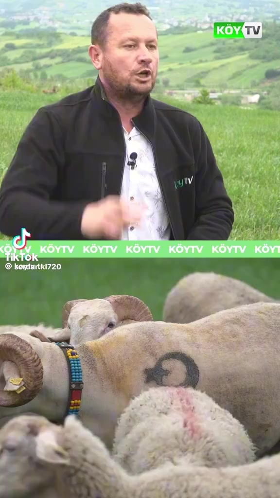 @Fahri Fahri Kolcular Balkır