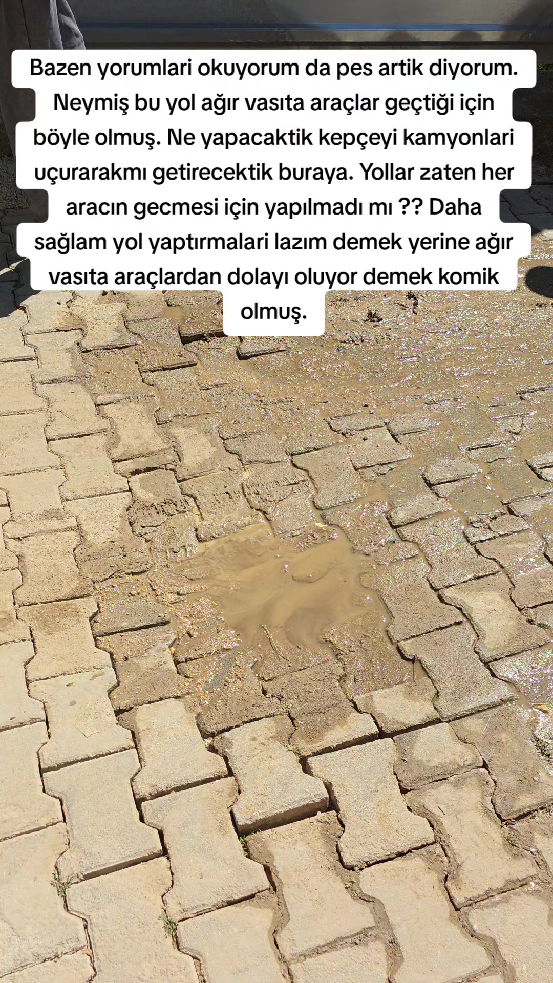 @Leyla Akkus