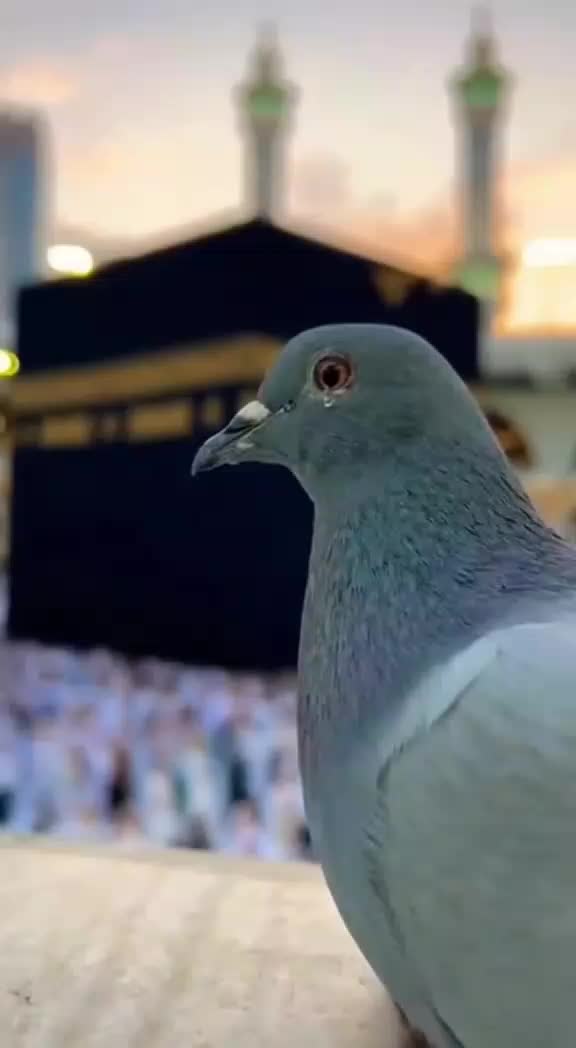 @Maryam🤍 مريم