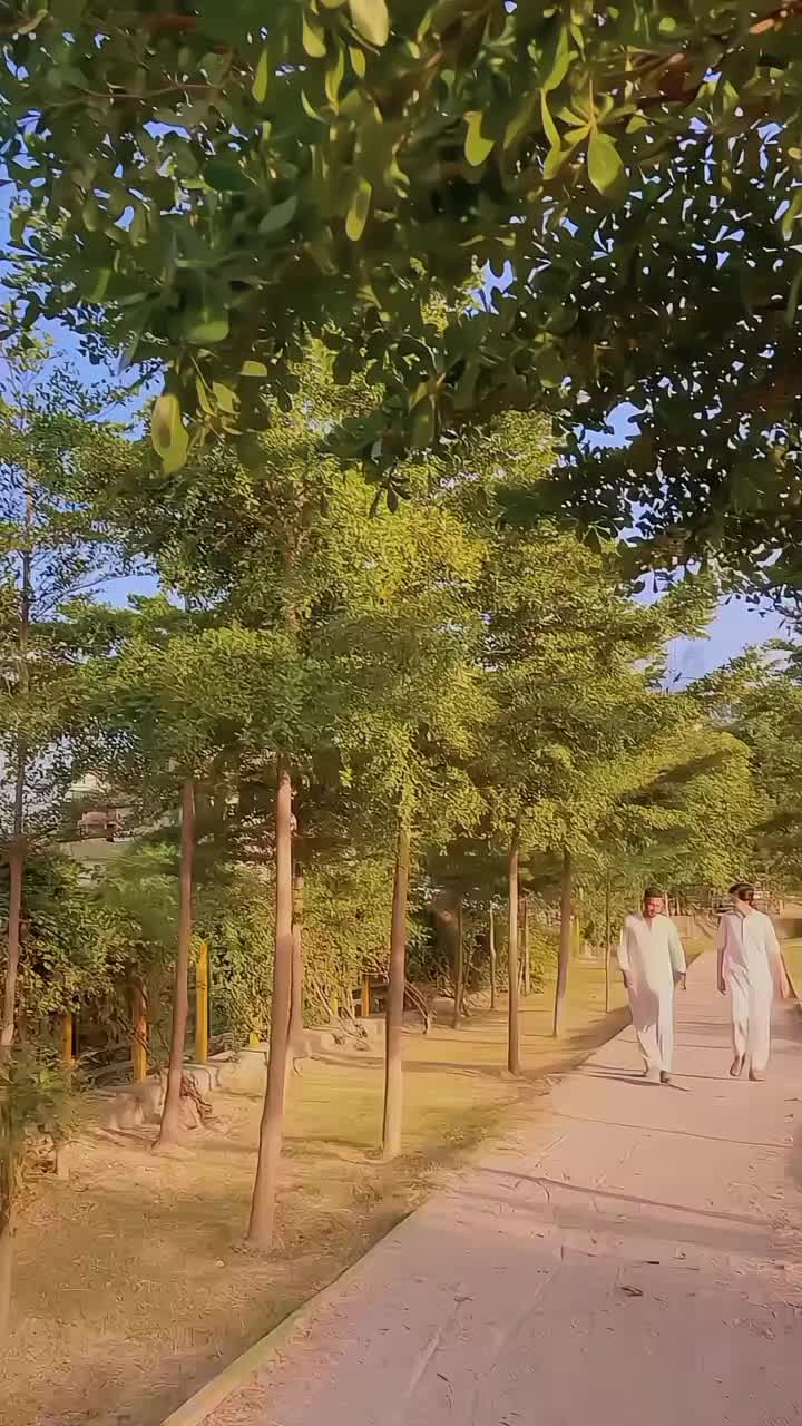 @علی گجر 🔥