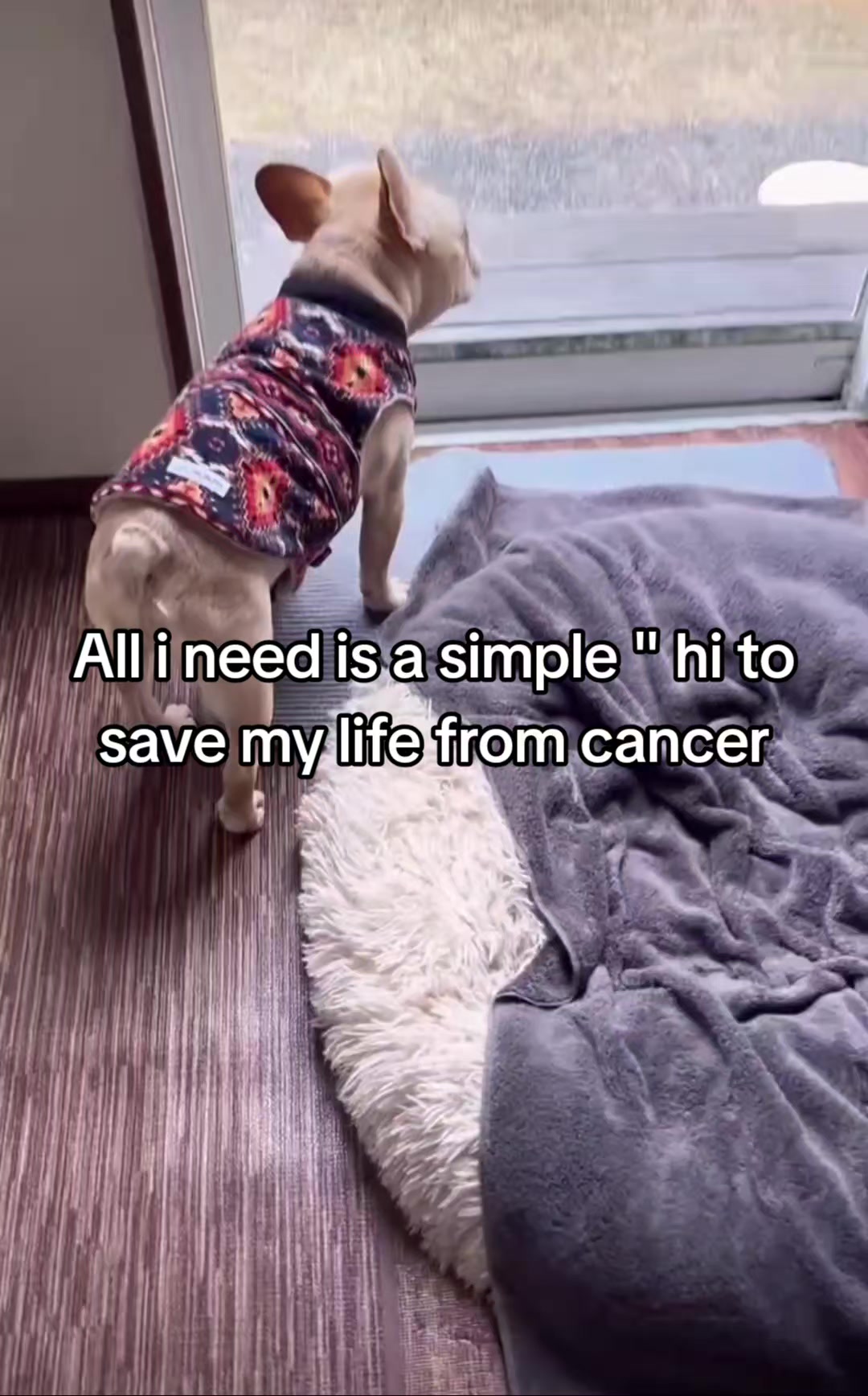 @CancerFighterPup