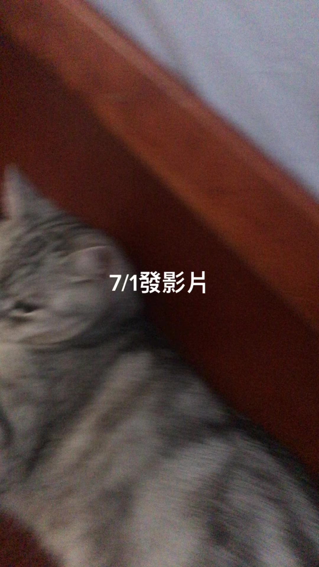 @玹小丸