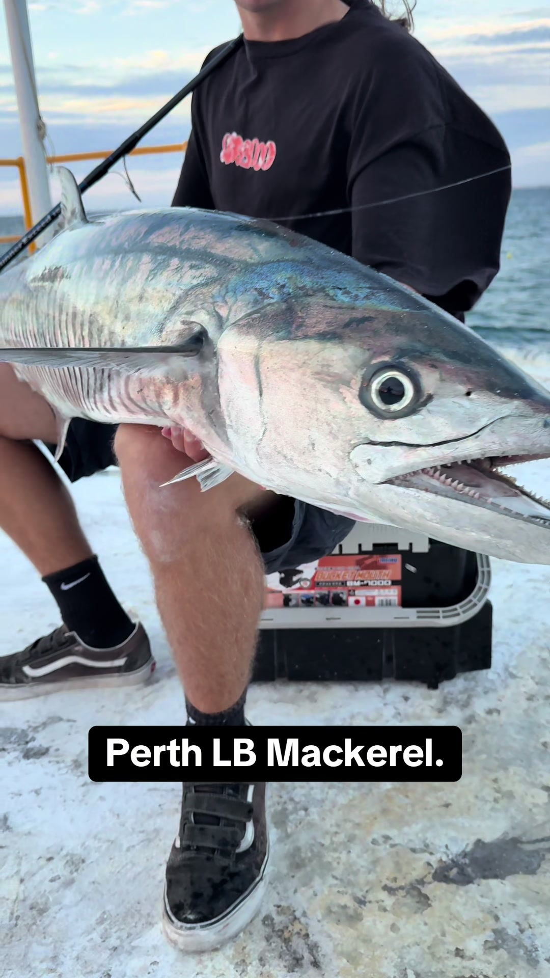 @KookFishing