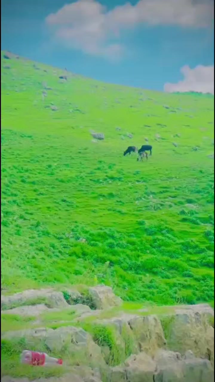 @ℍ𝔸𝕐𝔸𝕋 𝕌𝕃𝕃𝔸ℍ 𝟠𝟘𝟜 🫶