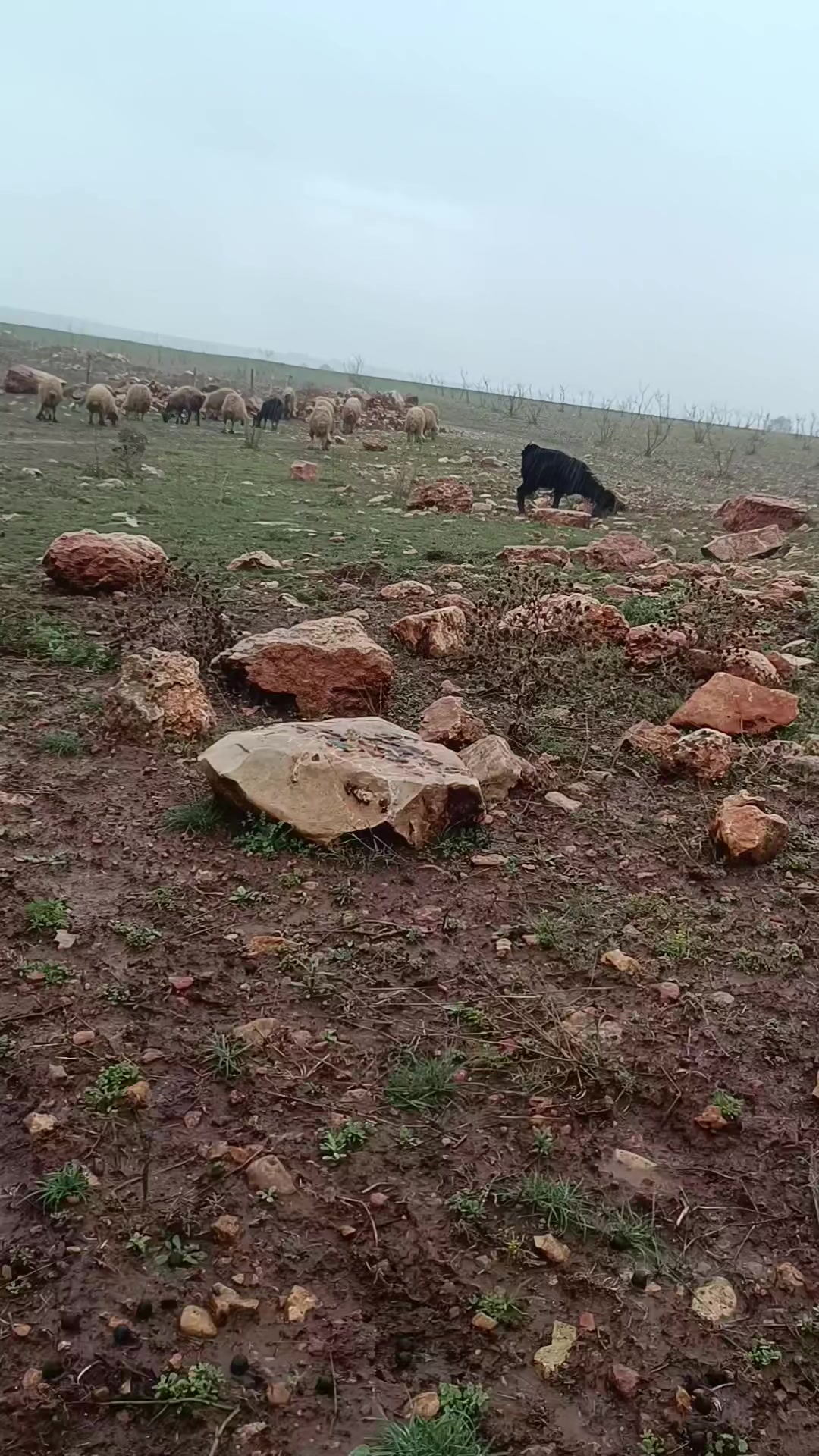 @Erdem akyavuz 2