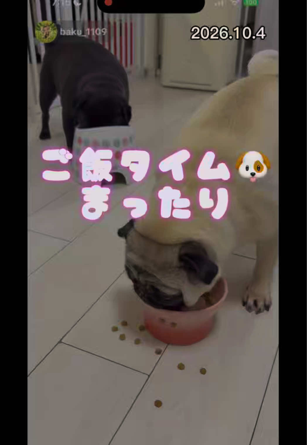 @すずか🧊🫧