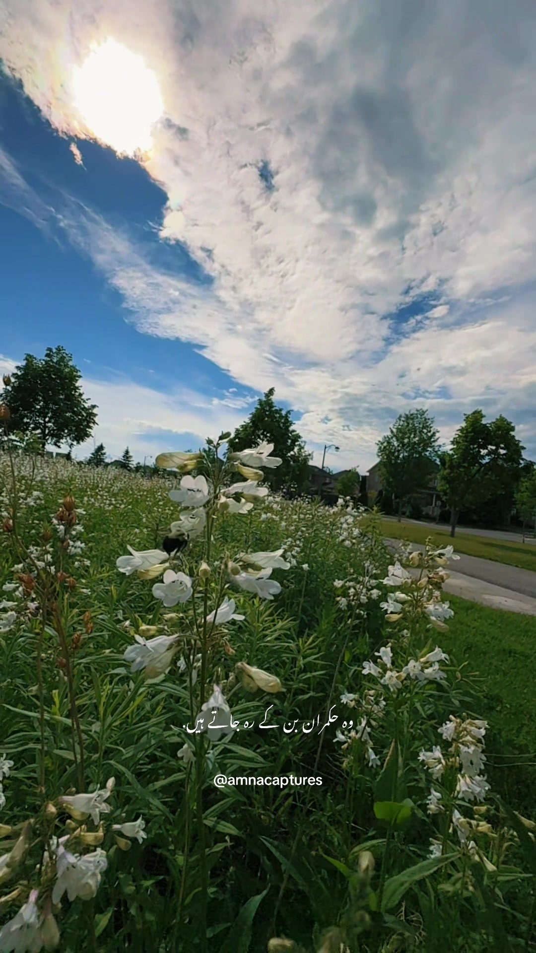 @Nature lover  🇨🇦