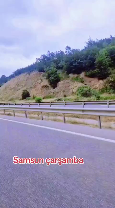 @``FS 20``